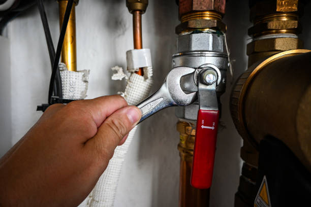 Best Plumbing Inspection Services  in Carolina Beach, NC